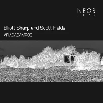 Afiadacampos by Scott Fields