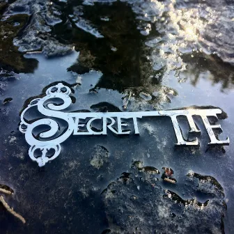 Love Me Until the End of Time (Live Version) by Secret Lie