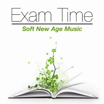 Exam Time - Soft New Age Music to Isolate Yourself and Read Better, Study More Efficiently and Improve your Mind Power by Chakra Dreamers