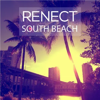 South Beach by Renect