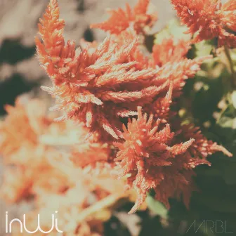 Inwi by Maribel Tafur