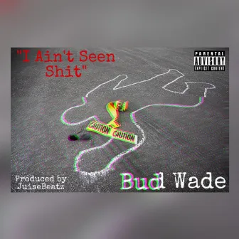 I Ain't Seen Shit by Bud Wade