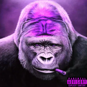 5G de Gorilla by OGDEZK