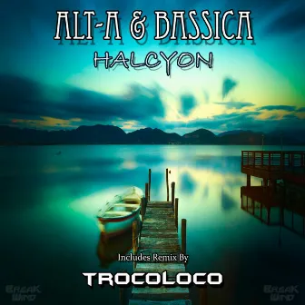 Halcyon by Alta