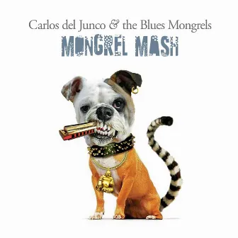 Mongrel Mash by Carlos Del Junco