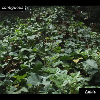 contiguous by ∆nkle