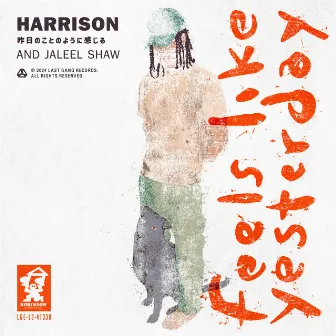 Feels Like Yesterday by Harrison