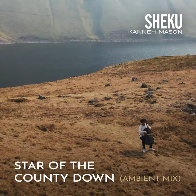 Star of the County Down - Matt Robertson Ambient Mix