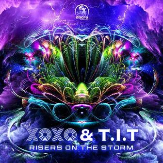 Risers On The Storm by XoXo (FR)