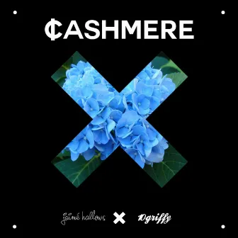 Cashmere by Jaimé Hallows