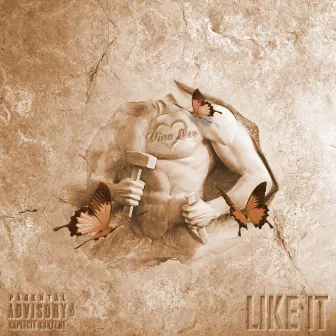 Like It by Vina Love