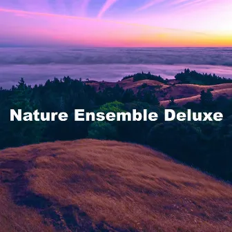 Nature Ensemble Deluxe by Nature Expedition