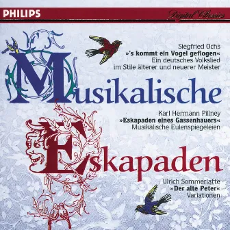 Musikalische Eskapaden by Nordwestdeutsche Philharmonie