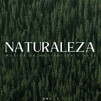 Naturaleza: Música De Meditación Y Aves Vol. 1 by Pájaros del oeste