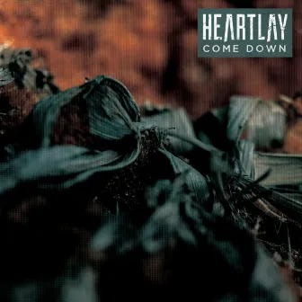 Come Down by Heartlay