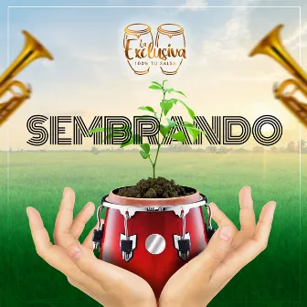 Sembrando by Orquesta la Exclusiva