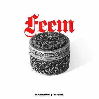 FEEM by HARMAN