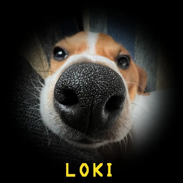 Loki