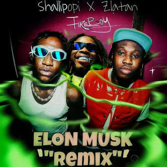 Elon Musk (Remix) by Fireboy DML