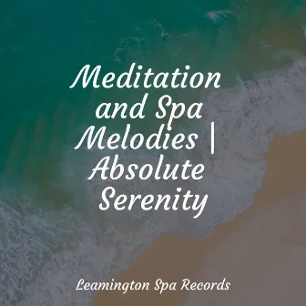 Meditation and Spa Melodies | Absolute Serenity by The Rainforest Collective