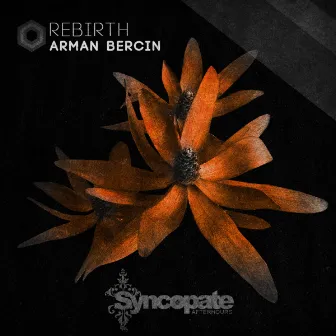 Rebirth by Arman Bercin