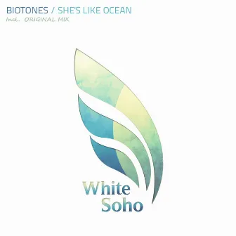 She's Like An Ocean by Biotones