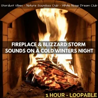 Fireplace & Blizzard Storm Sounds on a Cold Winters Night: One Hour (Loopable) by White Noize Dream Club