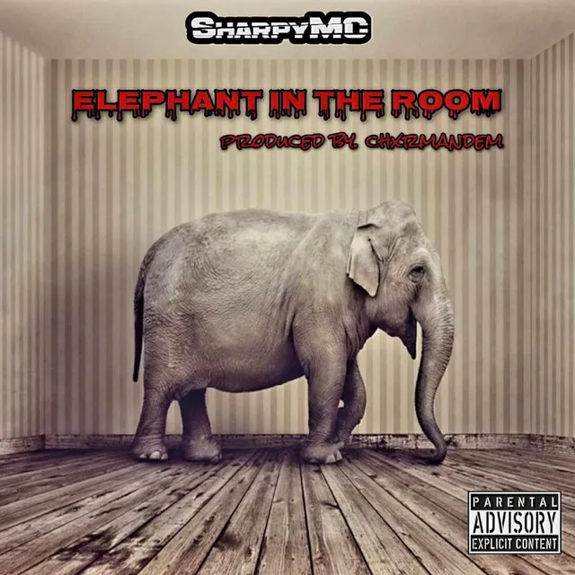 Elephant In The Room