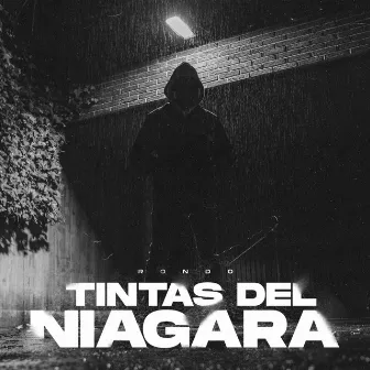 Tintas del Niágara by Rondo