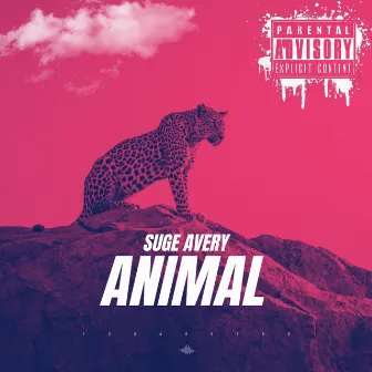 Animal by Suge Avery