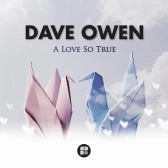 A Love So True by Dave Owen