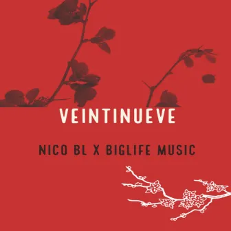 Veintinueve by Nico Bl