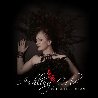 Where Love Began by Ashling Cole