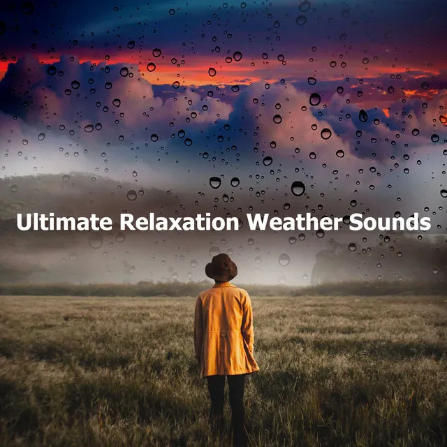 Ultimate Relaxation Weather Sounds