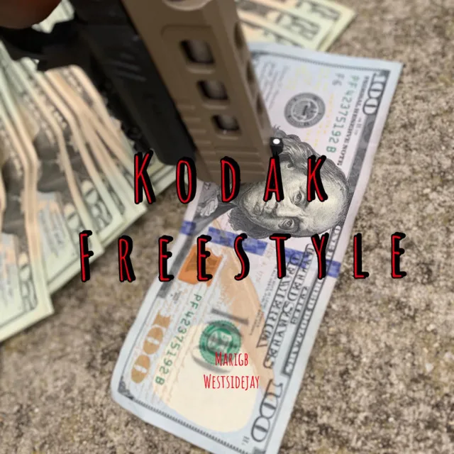 Kodak Freestyle