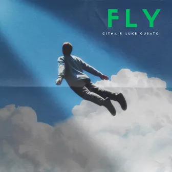 Fly by Luke Cusato