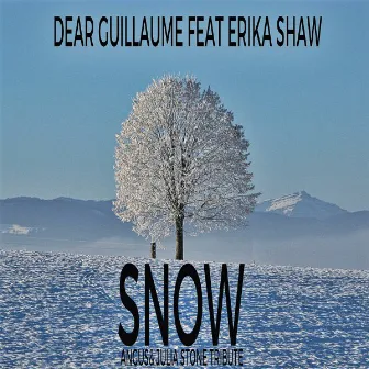 Snow (feat. Erika Shaw) [Angus & Julia Stone Tribute] by Dear Guillaume