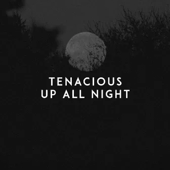 Up All Night by Tenacious