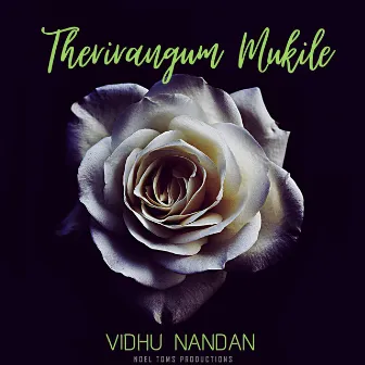 Therirangum Mukile by Vidhu Nandan