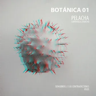 Pelacha - Botánica 01 by Pelacha