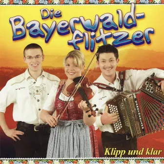 Bayerwaldflitzer - A fetz'n Gaudi by Bayerwaldflitzer