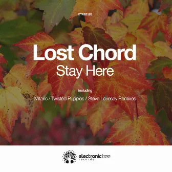 Stay Here by The Lost Chord