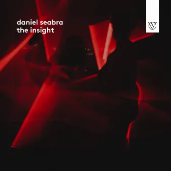 The Insight by Daniel Seabra