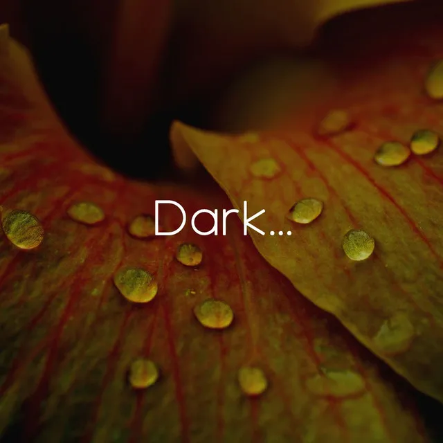 Dark