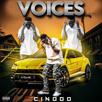 Voices by Cinooo