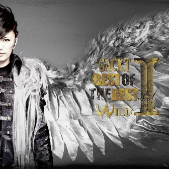 BEST OF THE BEST (vol.1 ―WILD―) by Gackt