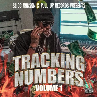 Tracking Numbers, Vol. 1 by Slicc Ronson