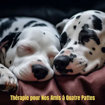 432 Hz - 528 Hz Contre le Stress Canin et pour un Sommeil Paisible (Thérapie pour Nos Amis à Quatre Pattes) by 