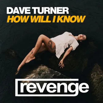 How Will I Know by Dave Turner