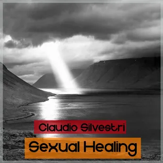 Sexual Healing by Claudio Silvestri